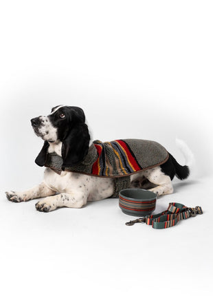 Pendleton Ceramic Food & Water Pet Bowl - Pup List