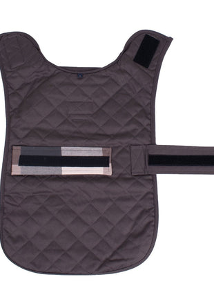 Pendleton Plaid Pet Coat