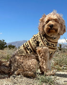 Pendleton Knitted Dog Sweater
