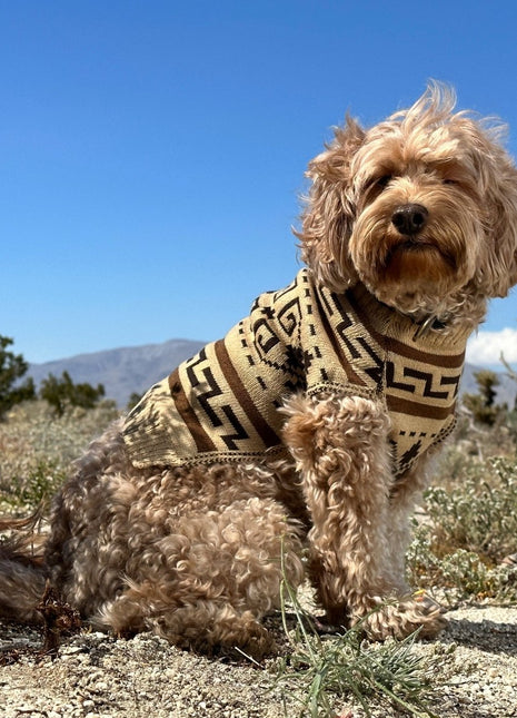 Pendleton Knitted Dog Sweater