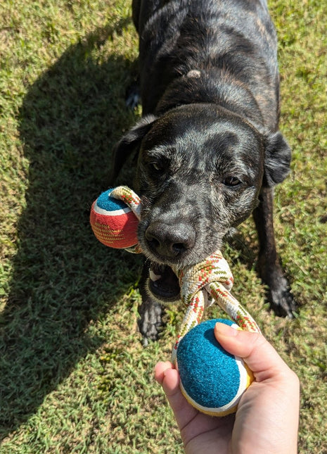 Pendleton Lasso Rope Dog Toy - Pup List