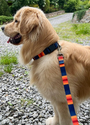 Pendleton National Park Adventure Collar