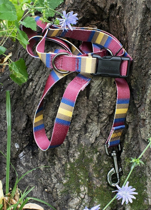 Pendleton National Park Adventure Collar