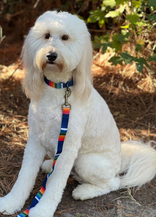 Pendleton National Park Adventure Dog Collar