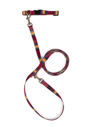 Pendleton National Park Adventure Collar