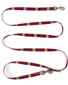 Pendleton National Park Adventure Leash