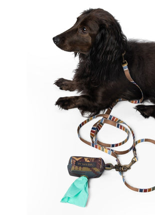 Pendleton National Park Adventure Leash