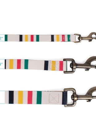 Pendleton National Park Adventure Leash