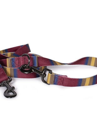 Pendleton National Park Adventure Leash