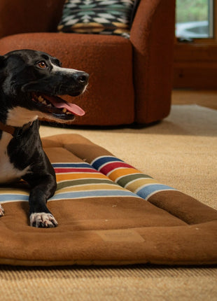 Pendleton National Park Comfort Cushion