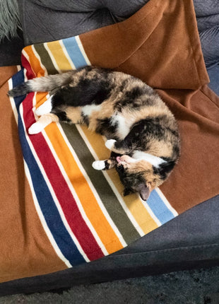 Pendleton National Park Crate Blanket - Pup List