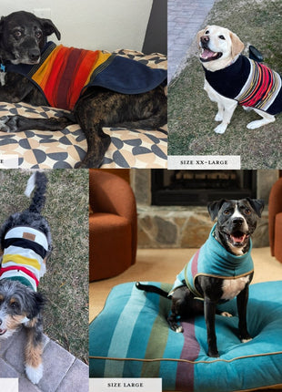 Pendleton National Park Dog Vest