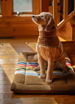 Pendleton National Park Dog Vest