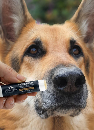 Pendleton Pet Nose Balm - Pup List