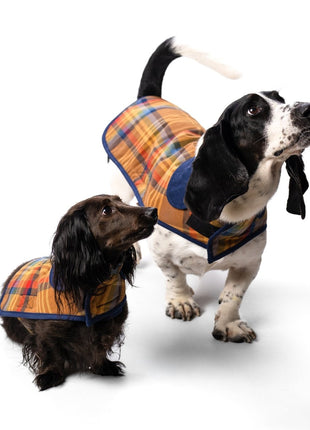 Pendleton Plaid Pet Coat