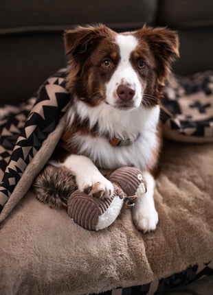 Pendleton Plush Squirrel Toy - Pup List