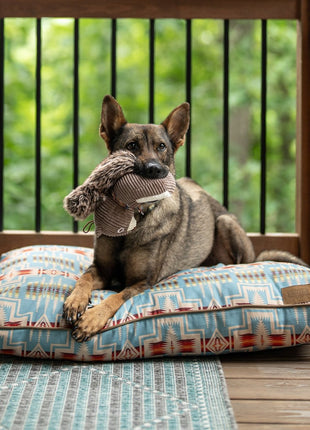 Pendleton Plush Squirrel Toy - Pup List