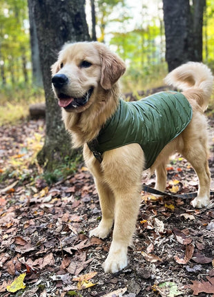 Pendleton Puffer Dog Coat