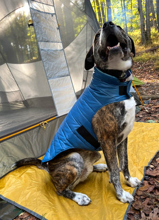 Pendleton Puffer Dog Coat