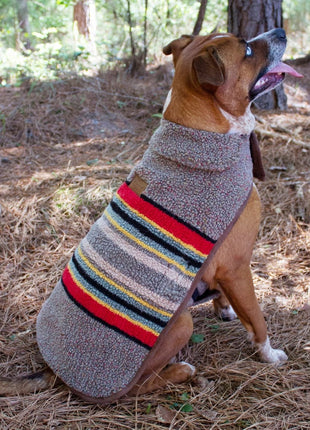 Pendleton Vintage Camp Dog Coat