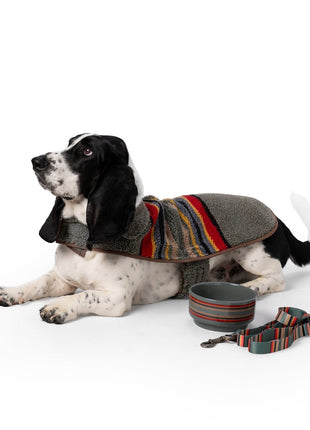 Pendleton Vintage Camp Dog Coat