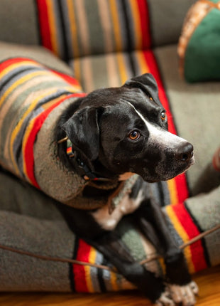 Pendleton Vintage Camp Dog Coat