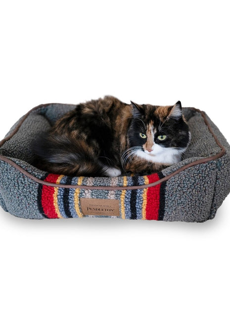 Pendleton Vintage Camp Kuddler