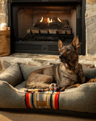 Pendleton Vintage Camp Kuddler - Pup List
