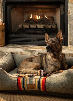 Pendleton Vintage Camp Kuddler