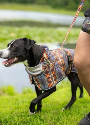 Pendleton Waterproof Adventure Pet Coat