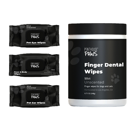 Complete 4-in-1 Pet Grooming Wipes Kit