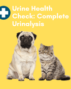 Complete Urinalysis: At-Home Testing