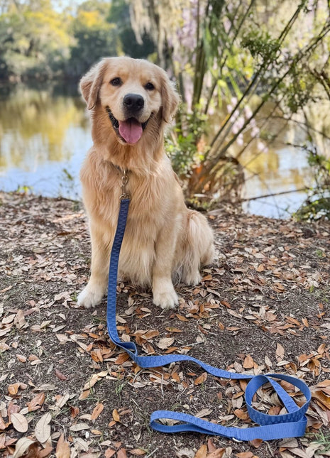 Pet Leash- Checkered Wave - Pup List