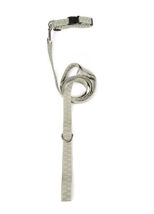 Pet Leash- Checkered Wave - Pup List