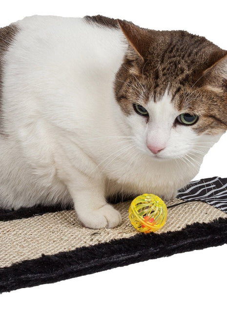 Pet Life ® 'Scrape-Away' Sisal and Jute Hanging Carpet Cat Scratcher Toy