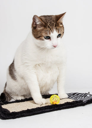 Pet Life ® 'Scrape-Away' Sisal and Jute Hanging Carpet Cat Scratcher Toy