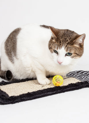 Pet Life ® 'Scrape-Away' Sisal and Jute Hanging Carpet Cat Scratcher Toy