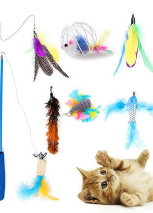 Cat Toy Set -Mouse, Balls, Interactive Toy Assortments, Tunnel & more