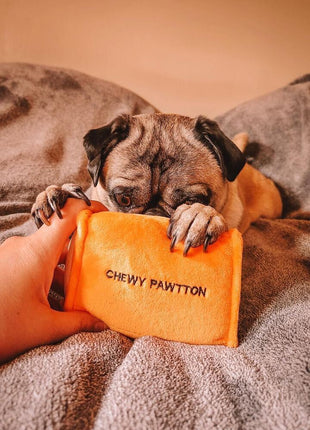 CHEWY PAWTTON PLUSH DOG TOY
