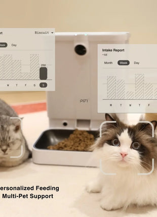All-in-One Smart Pet Feeder