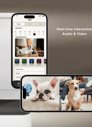 All-in-One Smart Pet Feeder