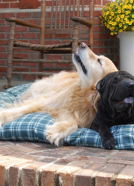 Plaid Shebang Rectangle Indoor Outdoor Dog Bed