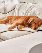 PupProtector™ Short Fur Waterproof Throw Blanket - Polar White