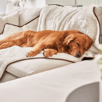 PupProtector™ Summer Short Fur Waterproof Throw Blanket - Polar White
