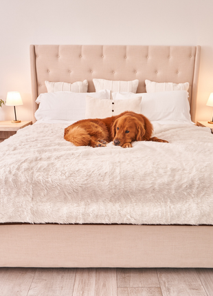PupProtector™ Short Fur Waterproof Throw Blanket - Polar White
