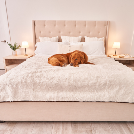 PupProtector™ Summer Short Fur Waterproof Throw Blanket - Polar White