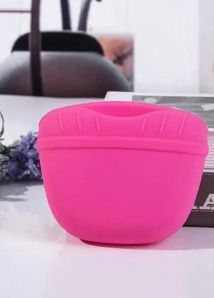 Portable Dog Training Treat Pouch
