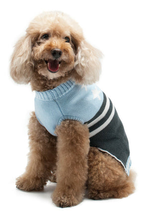 PP Star & Stripe Sweater