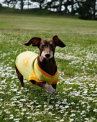 Flower Power Dog T-shirt - Pup List
