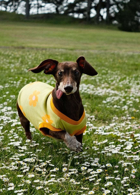 Flower Power Dog T-shirt